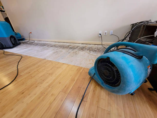 Professional Water Damage Repair technician working in Clarks Mills, PA